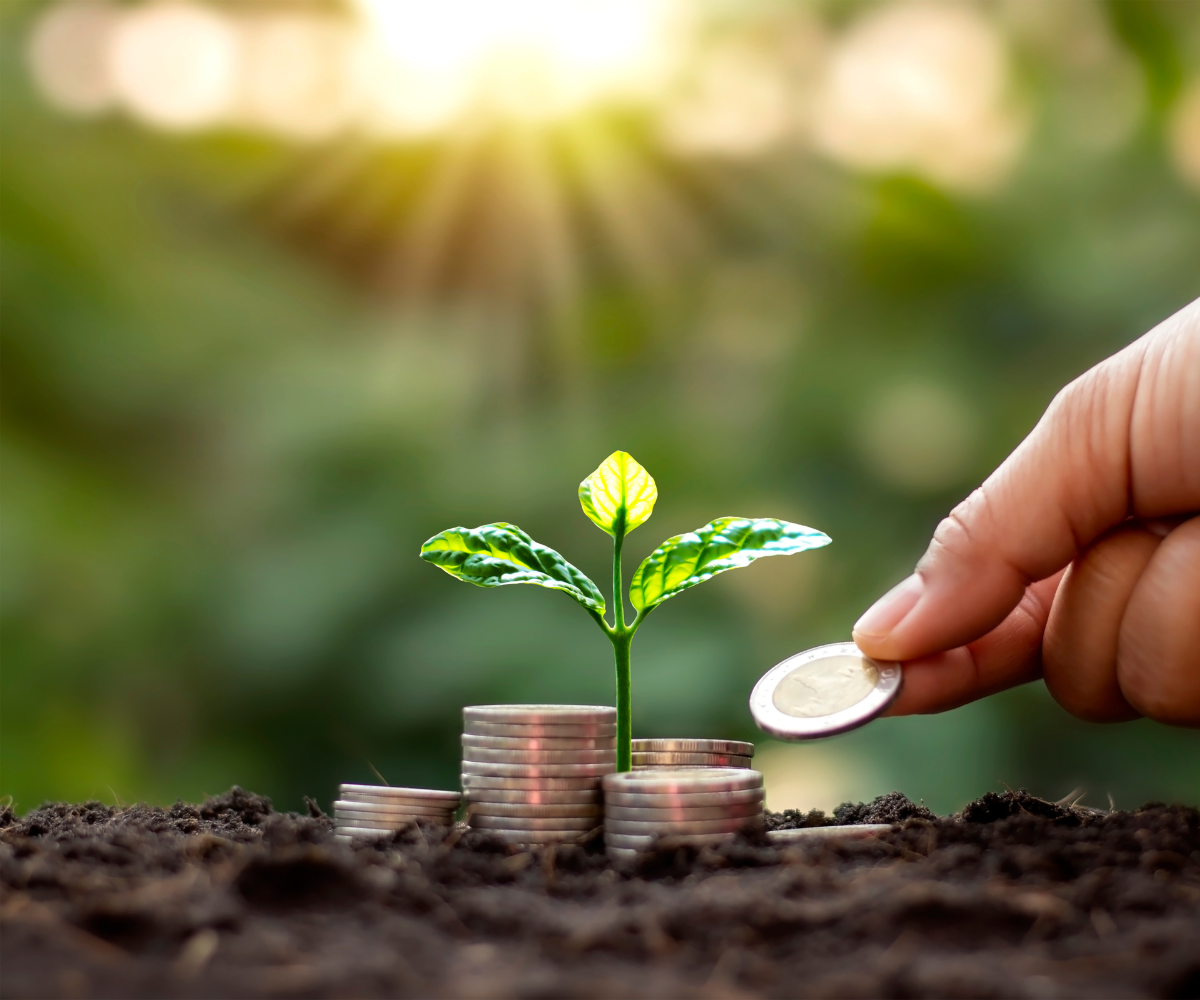 Organic Growth Vs Inorganic Growth Which Is Right For Your Business 